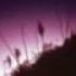 Wifiskeleton Nope Your Too Late I Already Died Instrumental Slowed