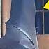 Giant Human Sized Bat Was Inside Abandoned House