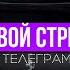 Sabi Я твой стресс Trend TikTok