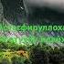 Истигфар это ключ к успеху исламскиезнания субханаллах истигфар