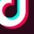 Baby Shark Tiktok Remix