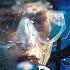 Why The Ocean Is Getting Louder