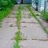 She Bought A House With A NEWBORN Baby But The Lawn Looked HORRIBLE