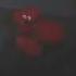 Old Coolkid Chase Music The Robloxia Until Dawn