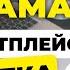 ЯК ПРАЦЮЄ РЕКЛАМА НА МАРКЕТПЛЕЙСІ РОЗЕТКА 62 366
