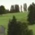 SF1 IDENT Fischer