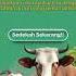 Sedekah Hewan Qurban
