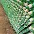 This Bottle House In China Will Blow Your Mind Shorts Facts