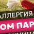 АЛЛЕРГИЯ Эффективное средство от всех видов