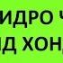 ТАРИЗИ ХОНДАНИ НАМОЗИ ИДИ САИДИ КУРБОН