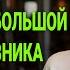 Развод интриги месть история доктора Котова Измена жены История и рассказ Аудио рассказ