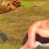 Wild Tiger Survival Simulator By Vital Games Production Android Gameplay HD