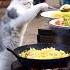 Cute Cat Working Tushi Cat
