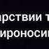 Во Царствии твоем П Мироносицкого