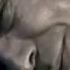 REVERSED Rammstein Ich Will Official Video