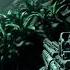 Bodycam Footage Classified Planet X Pov Bodycam Alien Planet Concept