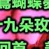 一位歌手一首代表作 8 内附歌詞 01 新鴛鴦蝴蝶夢 黃安 02 九百九十九朵玫瑰 邰正宵 03 再回首 姜育恆 04 北風 張鎬哲