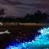Zhivaya Voda Water Of Life Nightcore
