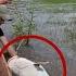 Friends Of Fishing Chapter 33 A New Angler Is Born And Invites Us To Do Plain Work