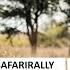 Highlights Stage 3 South African Safari Rally 2025 W2RC