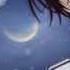 Vampire Knight English Version Opening