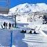 My Brain While Sledding In Aotearoa New Zealand