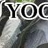 U Yoq