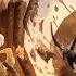 Pathfinder Kingmaker Хроника странного королевства Часть пятнадцатая