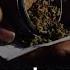 Weed Lover S Another Dumb Argument For It Being Halal ABROR MUXTOR ALIY