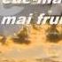 De Ziua Ta Mamico