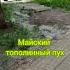 Тополиный пух пух тополь лето весна тополинныйпух