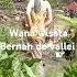 Wisata Bernah De Vallei