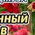Тасхих 29 джуз Корана Обучение Корану онлайн