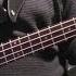 Modern Talking Brother Louie Bass Cover With Bass Tabs