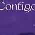 Carla Morrison Contigo Lyric Video Official Lyric Video