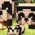 So Cute Short Shorts Minecraft Minecraftshorts Shortvideo Shortsvideo Panda Pandas