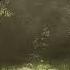 Hide SEMATARY X FORTUNA 812 X Jupi Type Beat Prod Phillarmoon