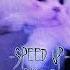 Красавица ярче солнца Speed Up спед ап