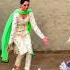 Super Kabutar Video Kabutar Status Pigeons Love Song Youtube Kabutar Kabootar Shorts