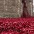 The Tower Of London Poppies