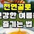 천연꿀로 건강한 여름을 즐기는 방법 건강 건강정보