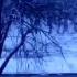 Весна 19 марта Затянулась зима Spring March 19 Winter Delayed