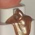 The Glow Tho Technic Gold Body Glow Gel Oil Goldenhour Golden Goldskin Bodyglow Skincare