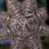 Can You Beat Morrowind With Only Enchanted Items