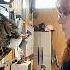 Owls Are The Cutest Shortvideo Funny Youtube Pets Usa