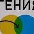 Как Развить в Себе Привычку Гения Достигни Зоны Гениальности Войди в зону Максимума