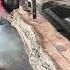 Essential Tips For Safe And Effective Wood Cutting Viralvideo Viralsong Remix Music 100kviewers