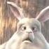 Big Buck Bunny