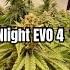 Special Kush SANlight EVO 4 1 5 PeedTHEweed Weeding Marihuanalegal