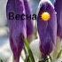 лето весна осень зима временагода